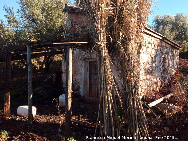 Cortijo de Adela - Cortijo de Adela. 