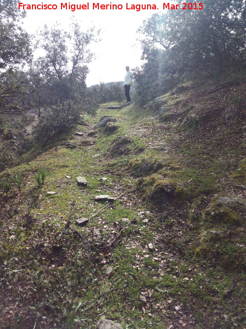 Cordel de Vllora - Cordel de Vllora. Camino de herradura