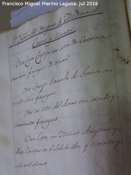 Historia de Navas de San Juan - Historia de Navas de San Juan. Casas y tierras del Duque de Medinaceli. Catastro 1819