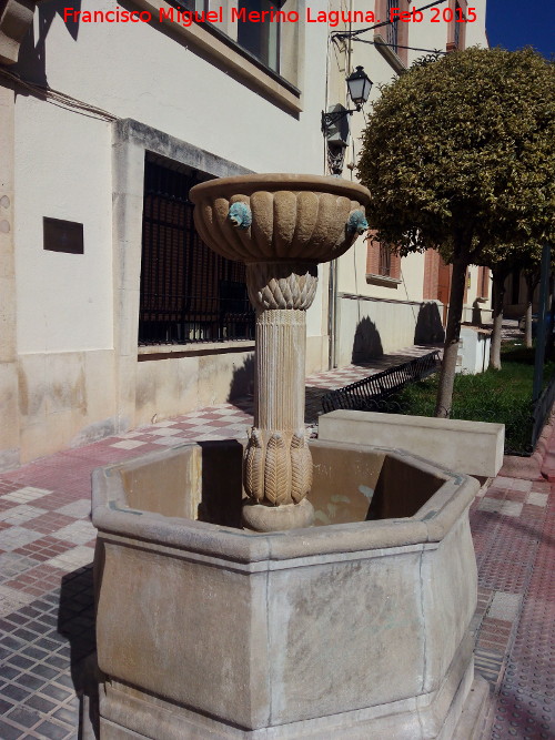 Fuente de la Plaza Victoria - Fuente de la Plaza Victoria. 