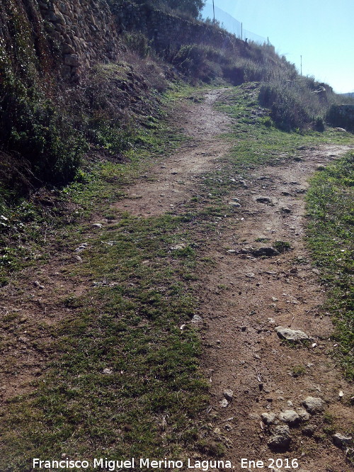 Camino de Corts - Camino de Corts. 