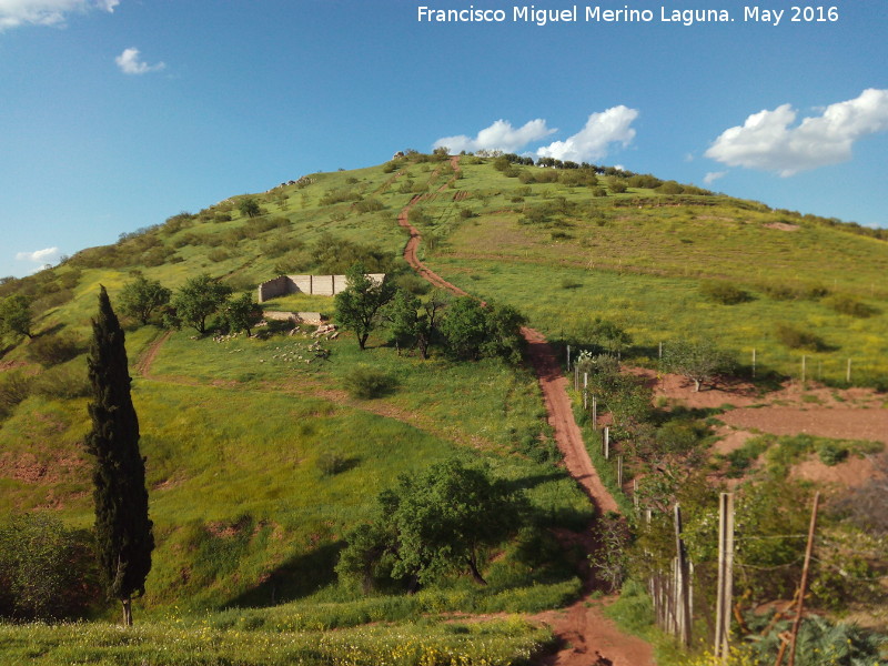 Cerro de la Atalaya - Cerro de la Atalaya. 