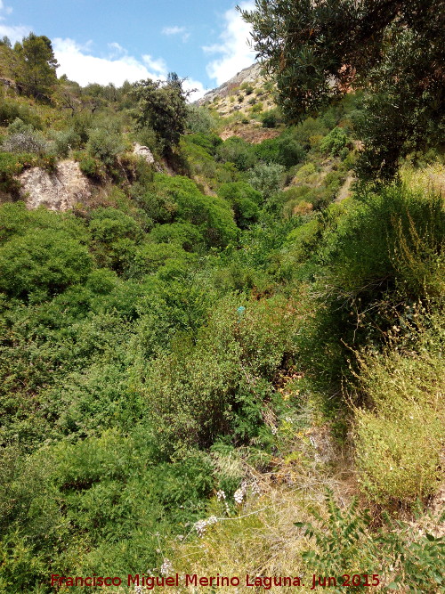 Arroyo de Reguchillo - Arroyo de Reguchillo. 