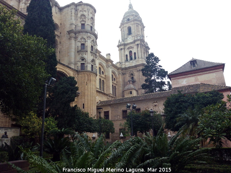 Catedral de Mlaga - Catedral de Mlaga. 