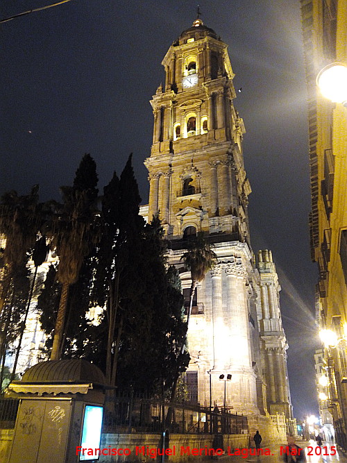 Catedral de Mlaga - Catedral de Mlaga. Torre campanario