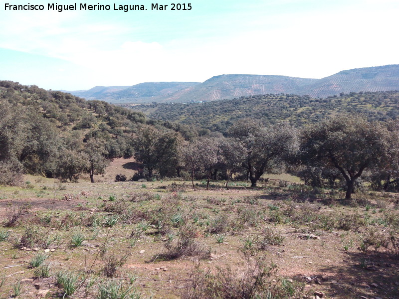 Puesto de caza del Cerro de la Parrilla - Puesto de caza del Cerro de la Parrilla. Vistas