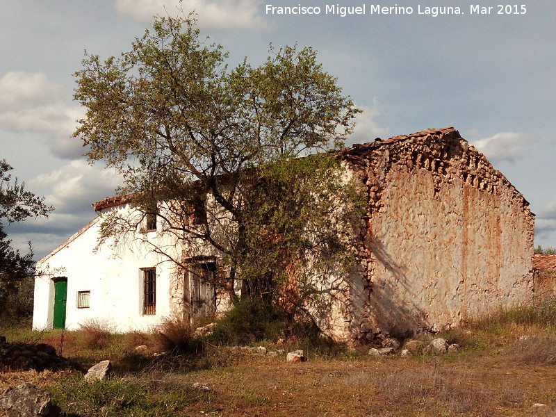 Cortijo del Mollejn Nuevo - Cortijo del Mollejn Nuevo. 