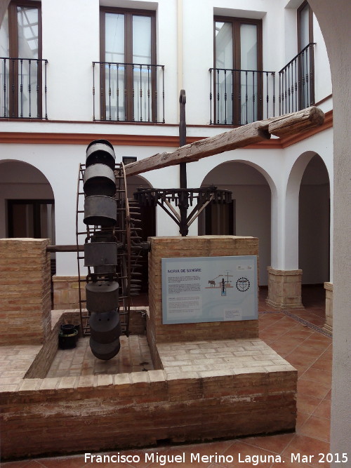 Centro de Interpretacin de la Vida Rural y del Aceite - Centro de Interpretacin de la Vida Rural y del Aceite. Noria de Sangre en el patio