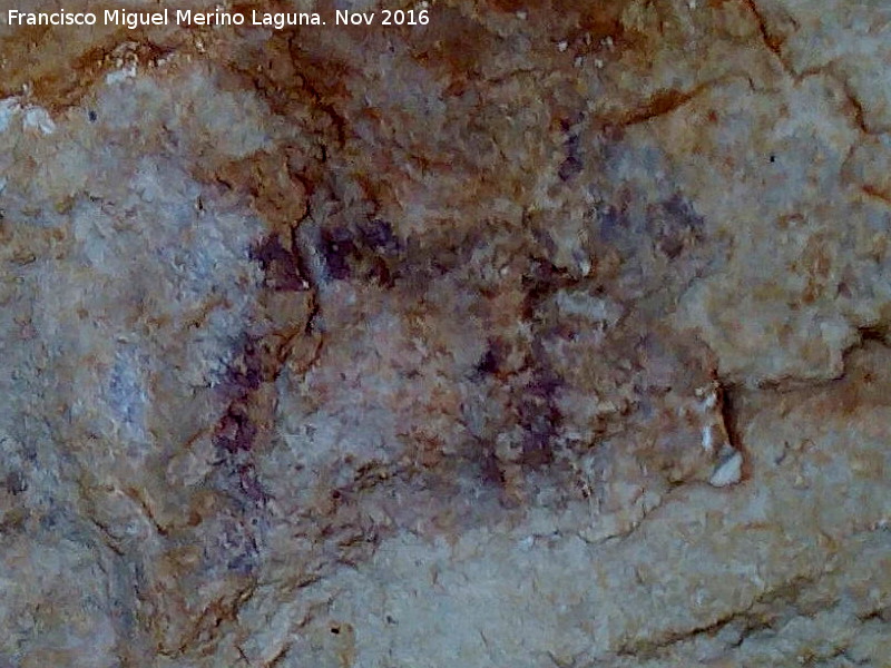 Pinturas rupestres de las Cuevas del Curro Abrigo I - Pinturas rupestres de las Cuevas del Curro Abrigo I. Zooformo