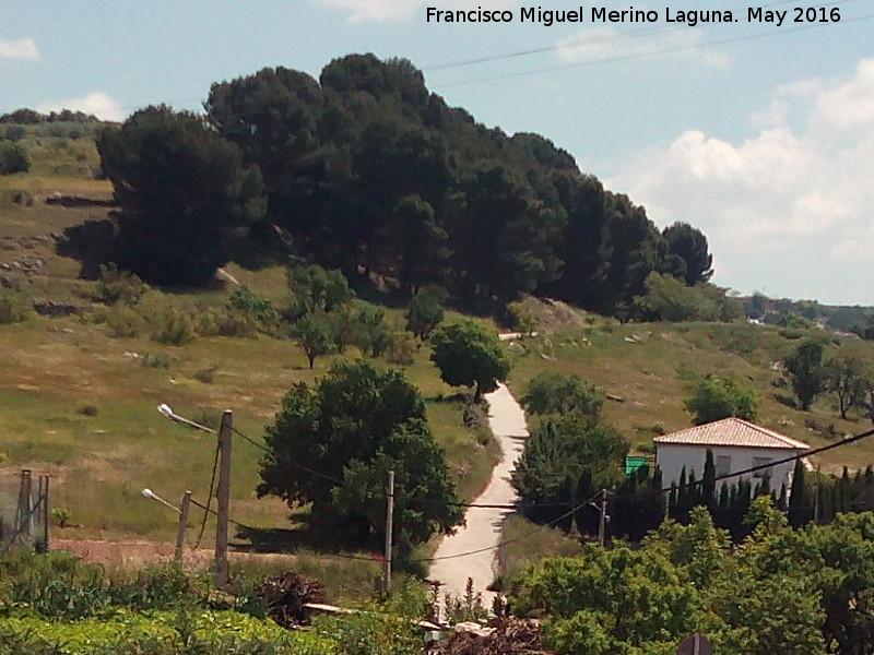 Camino de los Pinos - Camino de los Pinos. 