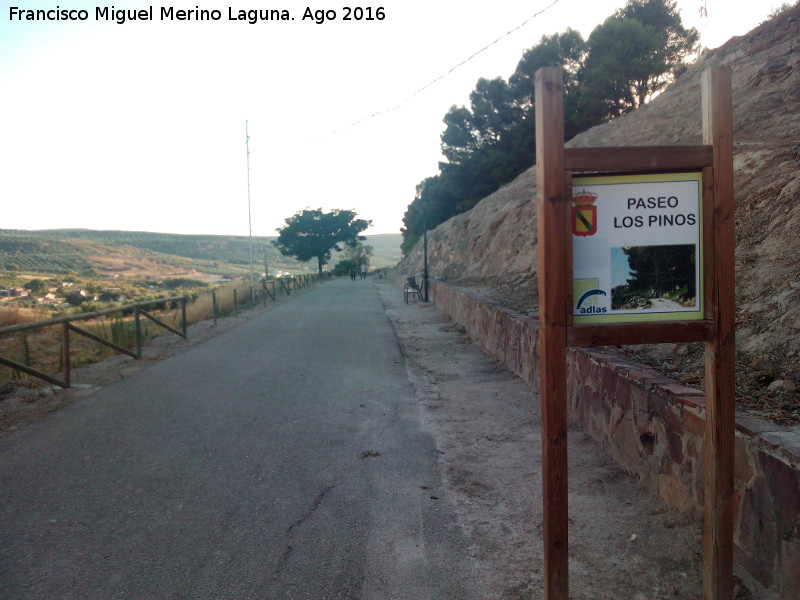 Camino de los Pinos - Camino de los Pinos. 