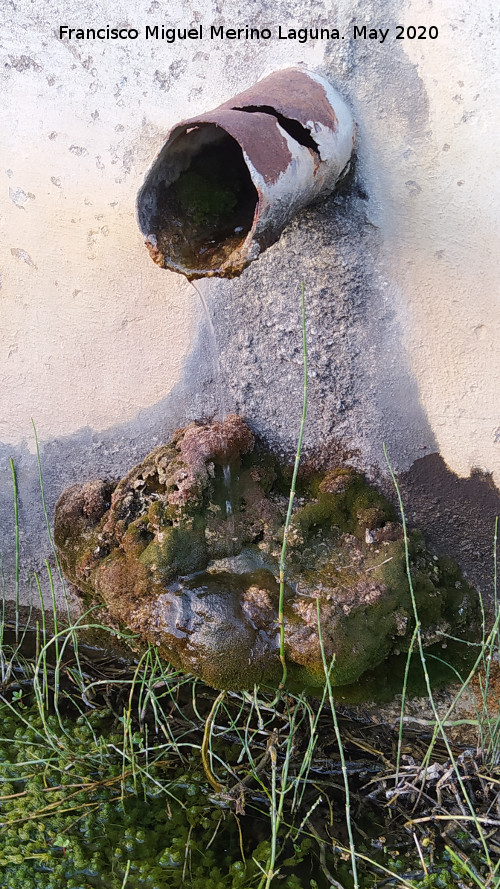 Fuente del Cruce de la Central Hidroel�ctrica - Fuente del Cruce de la Central Hidroel�ctrica. Ca�o