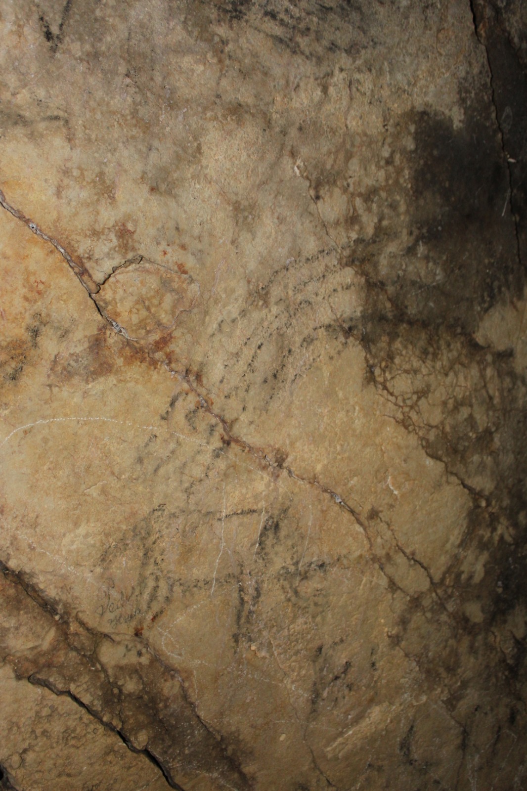 Cueva del Agua - Cueva del Agua. Antonio