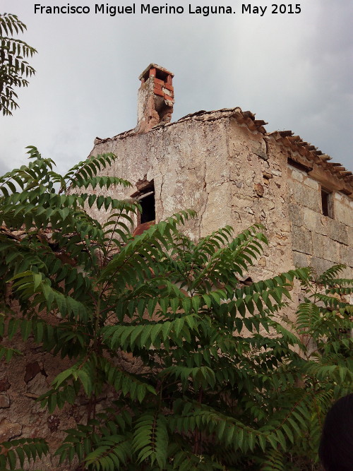 Cortijo de Santa Olalla - Cortijo de Santa Olalla. Chimenea