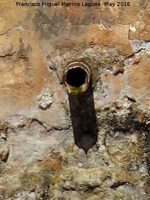 Fuente de Montefuerte - Fuente de Montefuerte. Cao