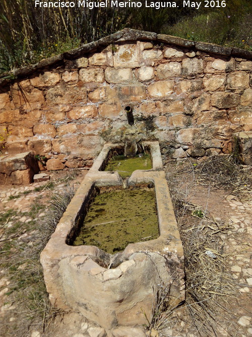 Fuente de Montefuerte - Fuente de Montefuerte. 