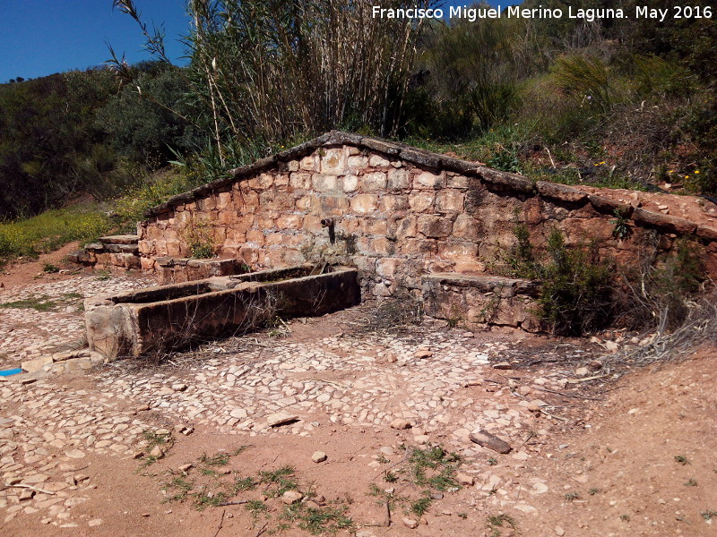 Fuente de Montefuerte - Fuente de Montefuerte. 