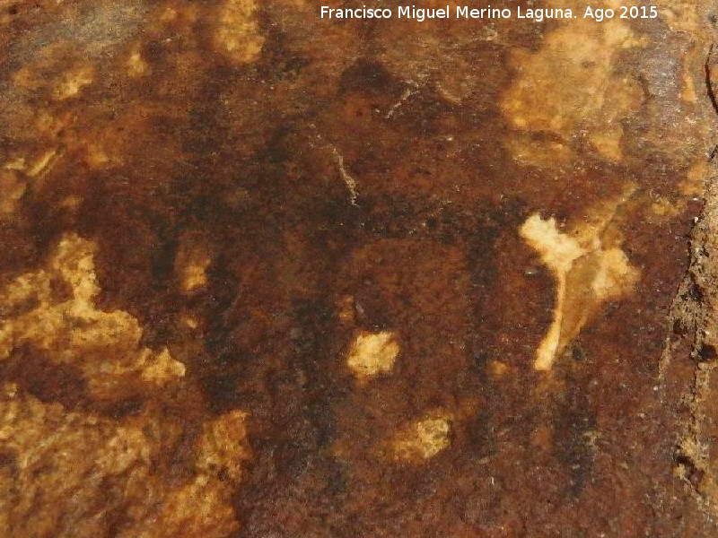 Pinturas rupestres del Can del Quiebrajano - Pinturas rupestres del Can del Quiebrajano. Cprido derecho