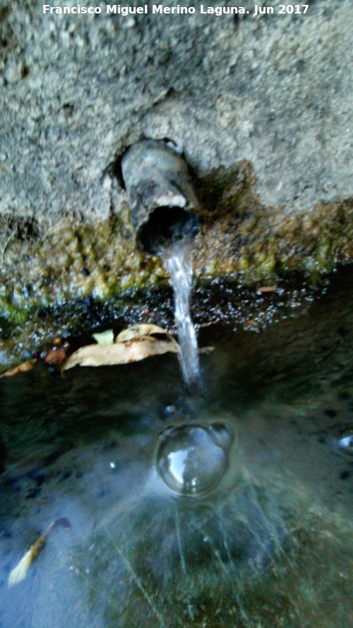 Fuente del Cerrajn - Fuente del Cerrajn. Cao