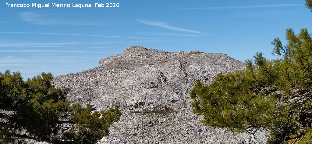 Aguil�n del Loco - Aguil�n del Loco. Desde la Loma de Cagasebo