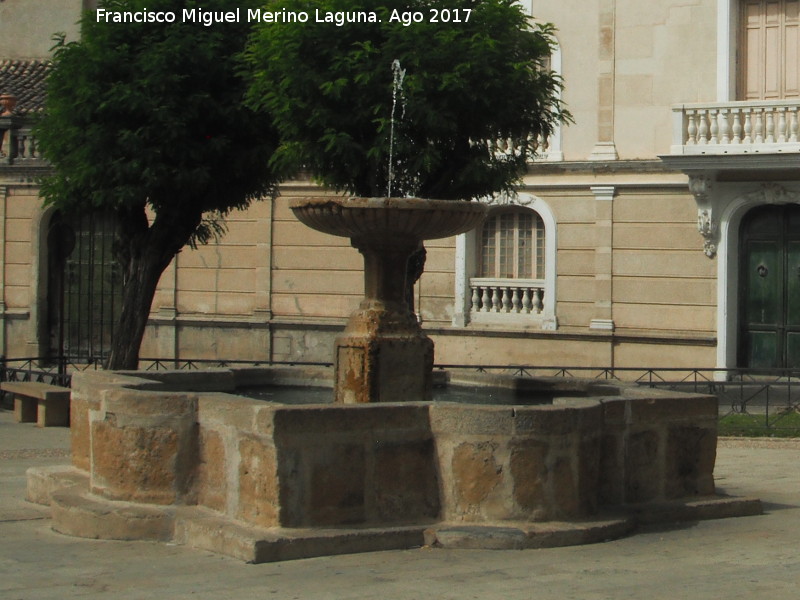 Fuente de San Pedro - Fuente de San Pedro. 