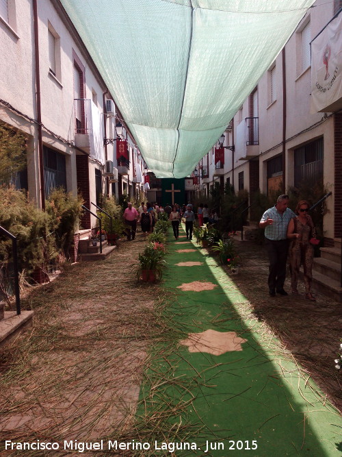 Calle El Profeta - Calle El Profeta. 