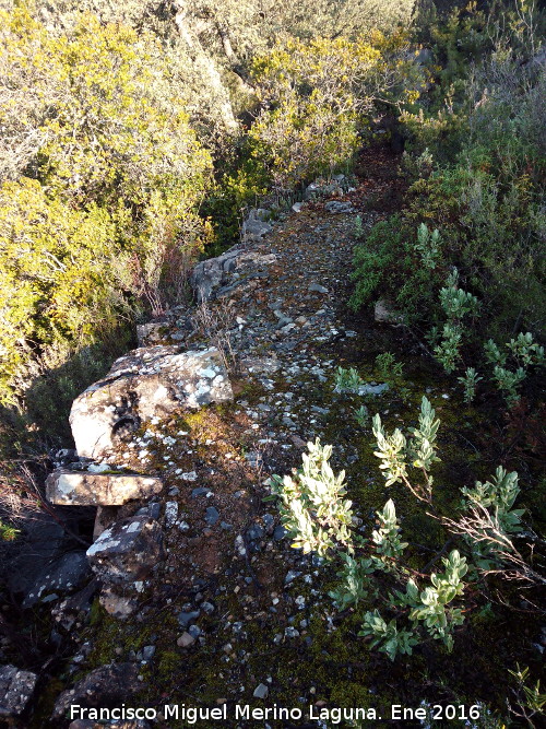 Calzada de Alcal - Calzada de Alcal. 