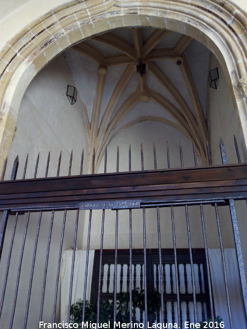 Catedral de Baeza. Capilla de la Custodia - Catedral de Baeza. Capilla de la Custodia. 