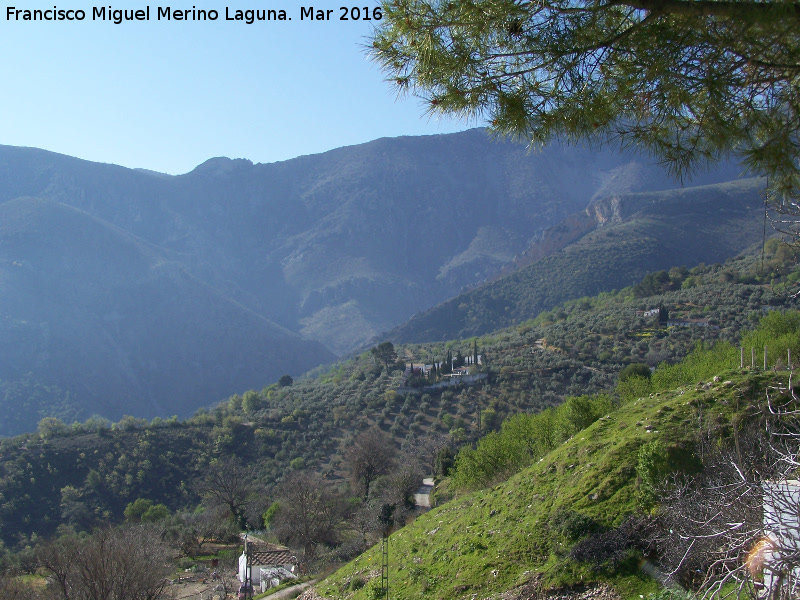 Mirador de Albanchez - Mirador de Albanchez. Vistas