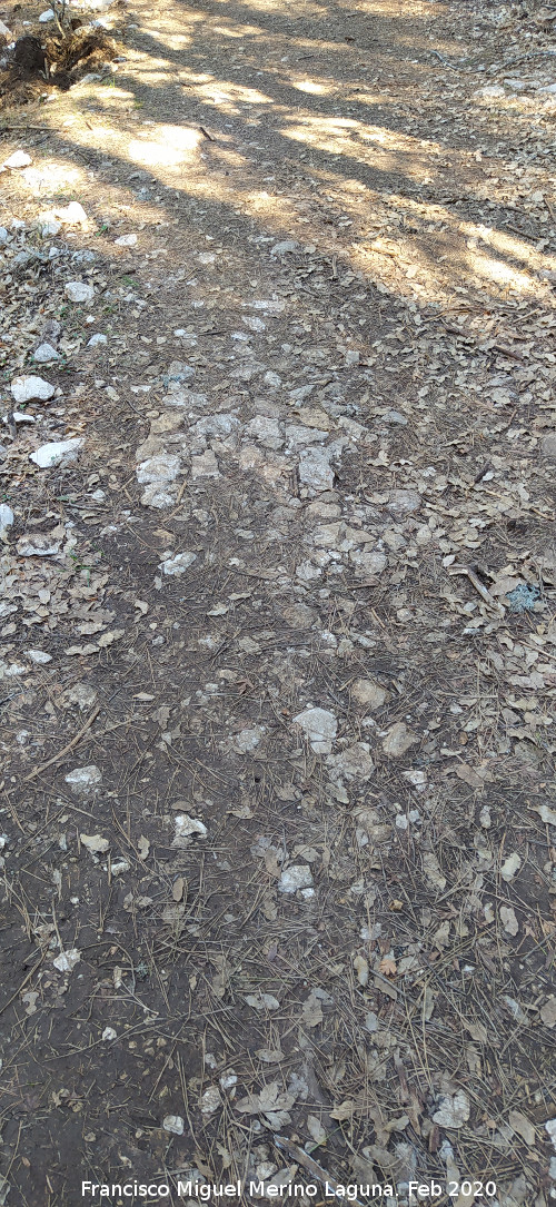Camino del Poyo de las Palomas - Camino del Poyo de las Palomas. Restos del empedrado