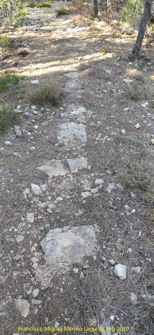 Camino del Poyo de las Palomas - Camino del Poyo de las Palomas. Restos del camino antiguo