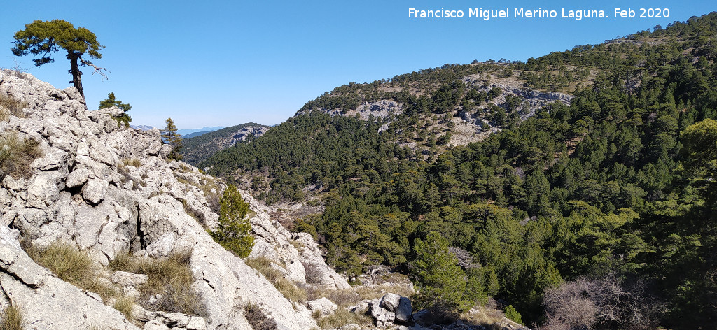 Barranco de la Ca�ada de las Fuentes - Barranco de la Ca�ada de las Fuentes. Su parte alta