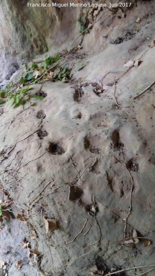 Petroglifos y pinturas rupestres del Abrigo de la Tinaja V - Petroglifos y pinturas rupestres del Abrigo de la Tinaja V. Cazoletas