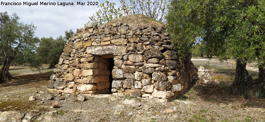 Caracol de los Prietos - Caracol de los Prietos. 