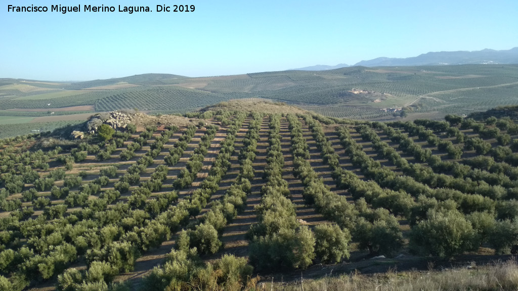 Castelln de Caviedes - Castelln de Caviedes. Vistas