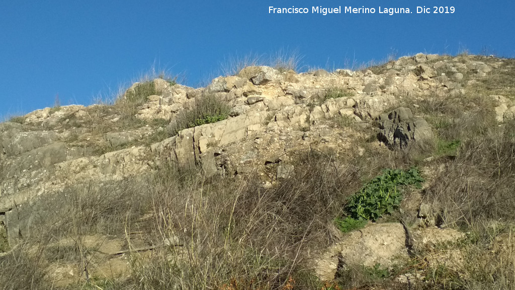 Castelln de Caviedes - Castelln de Caviedes. Muralla