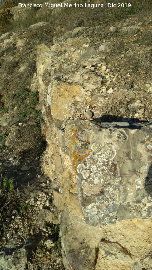 Castelln de Caviedes - Castelln de Caviedes. Muralla