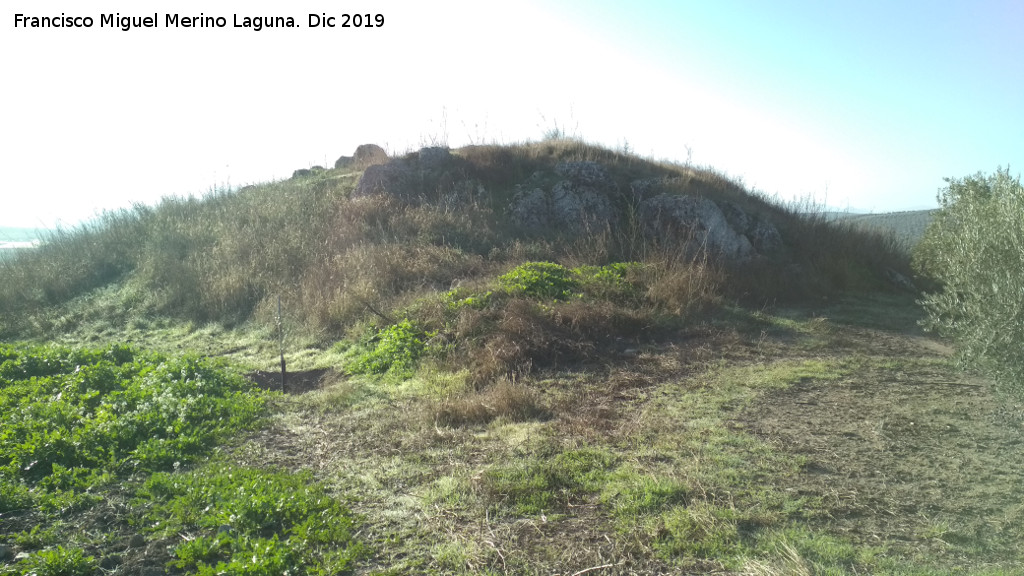 Castelln de Caviedes - Castelln de Caviedes. 