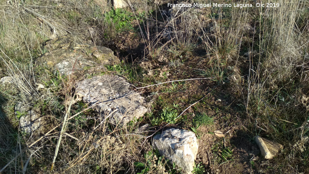 Castelln de Caviedes - Castelln de Caviedes. Muro y tgola