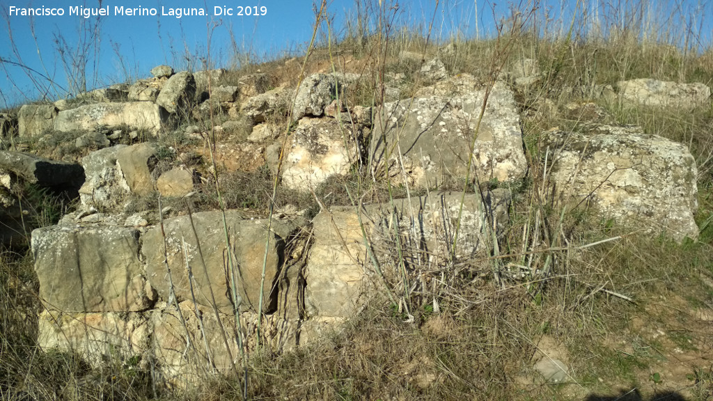 Castelln de Caviedes - Castelln de Caviedes. Muralla ciclpea