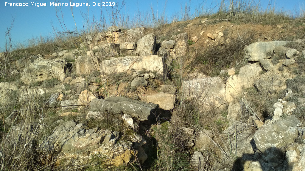 Castelln de Caviedes - Castelln de Caviedes. Restos de muralla