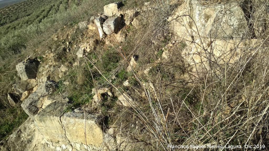 Castelln de Caviedes - Castelln de Caviedes. 