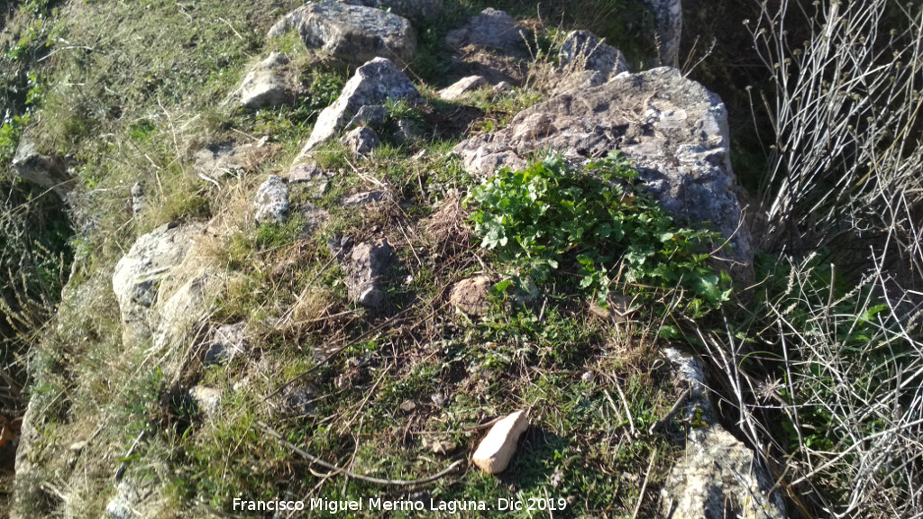 Castelln de Caviedes - Castelln de Caviedes. Grosor de muro