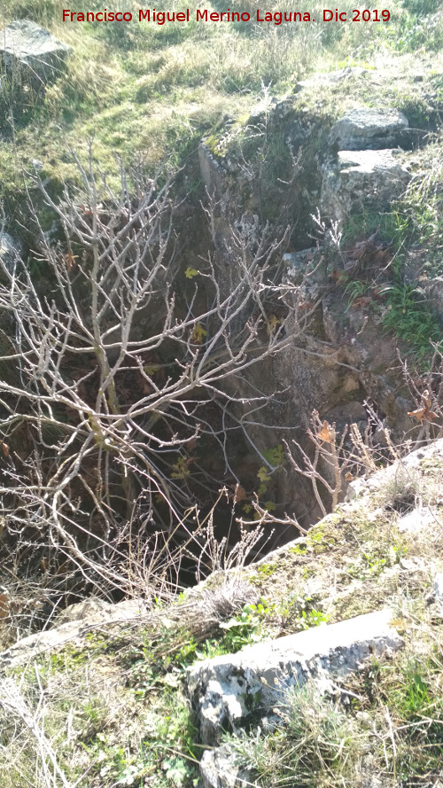 Castelln de Caviedes - Castelln de Caviedes. Hueco con rbol