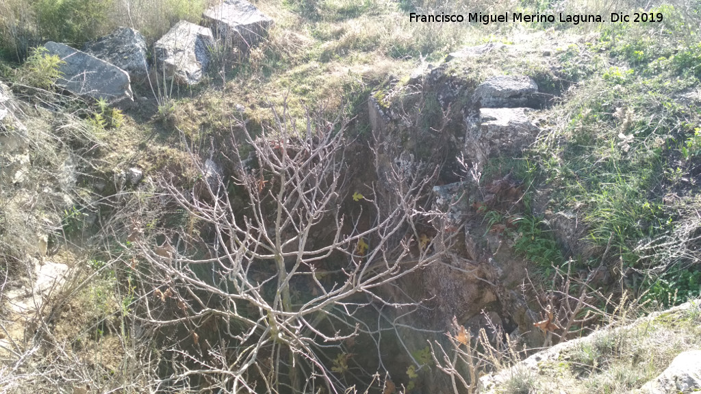 Castelln de Caviedes - Castelln de Caviedes. Hueco con rbol