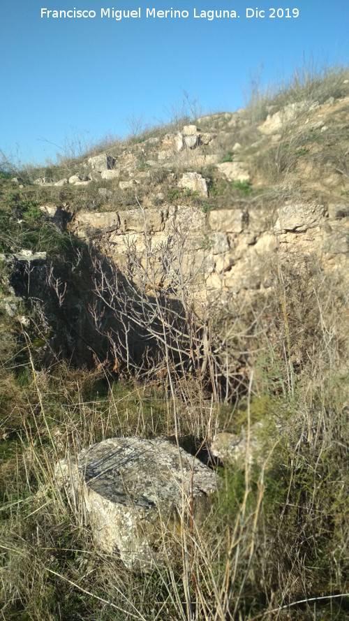 Castelln de Caviedes - Castelln de Caviedes. Hueco con rbol