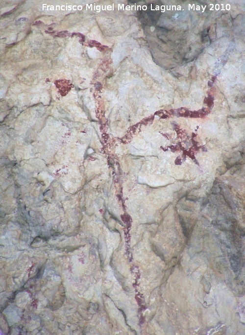 Pinturas rupestres de la Cueva del Sureste del Canjorro - Pinturas rupestres de la Cueva del Sureste del Canjorro. 