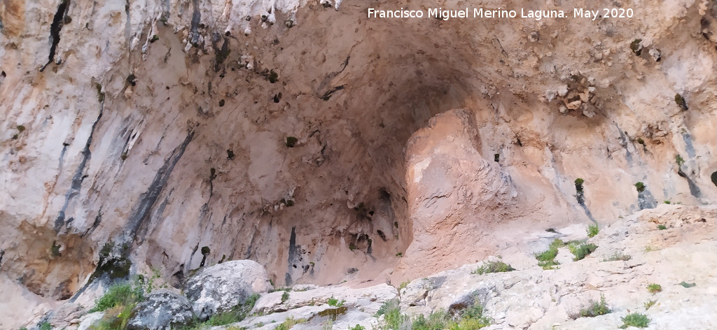 Pinturas rupestres de la Cueva de los Molinos - Pinturas rupestres de la Cueva de los Molinos. Abrigo
