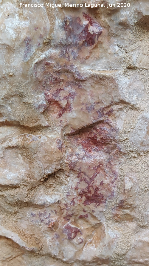 Pinturas rupestres de la Cueva de los Molinos - Pinturas rupestres de la Cueva de los Molinos. Pinturas de la pared izquierda