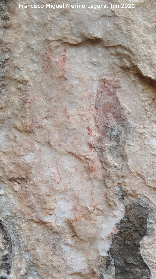 Pinturas rupestres de la Cueva de los Molinos - Pinturas rupestres de la Cueva de los Molinos. Pinturas de la pared izquierda